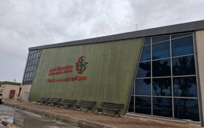 ورشة عمل “دور الصيدلة السريرية والمهن الطبية الأخرى في مكافحة عدوى المستشفيات”